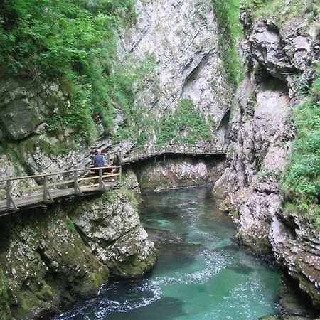 Repecnik Farm Bled